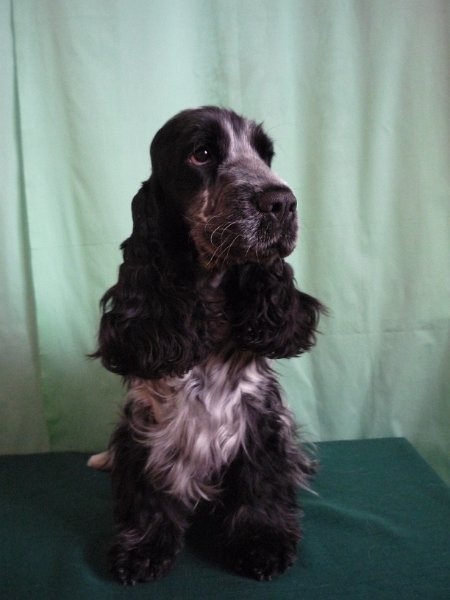 doma 25.2.2009 030.jpg